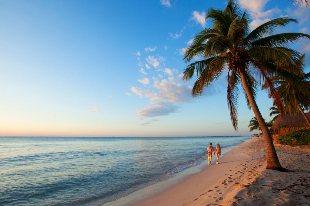 A Beach With Palm Trees And A Body Of Water